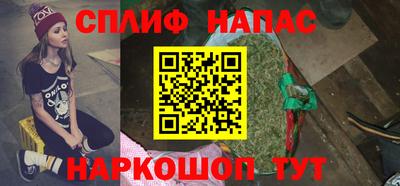 шишки Новокубанск