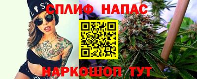 шишки Новокубанск