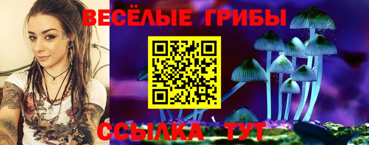 Псилоцибиновые грибы мицелий  Псилоцибиновые грибы Psilocybe  Вход с VPN  Сосновый Бор 